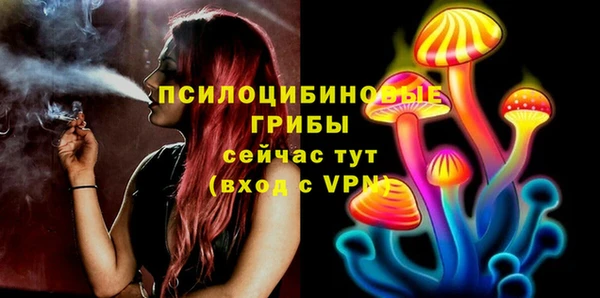 дмт Заволжск