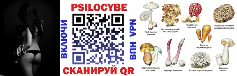 Галлюциногенные грибы мицелий Берёзовка