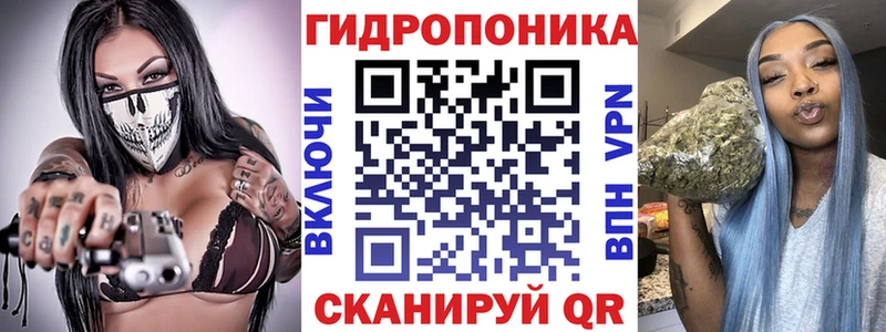 кракен ТОР  Берёзовка  Бошки марихуана OG Kush 